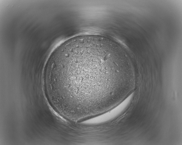 X0000054371471200508051542