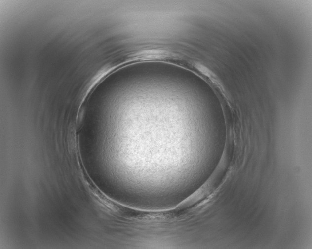 X0000054371473200508051542