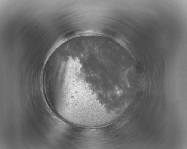 X0000054371474200508051542