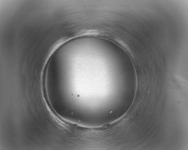 X0000054371475200508051542