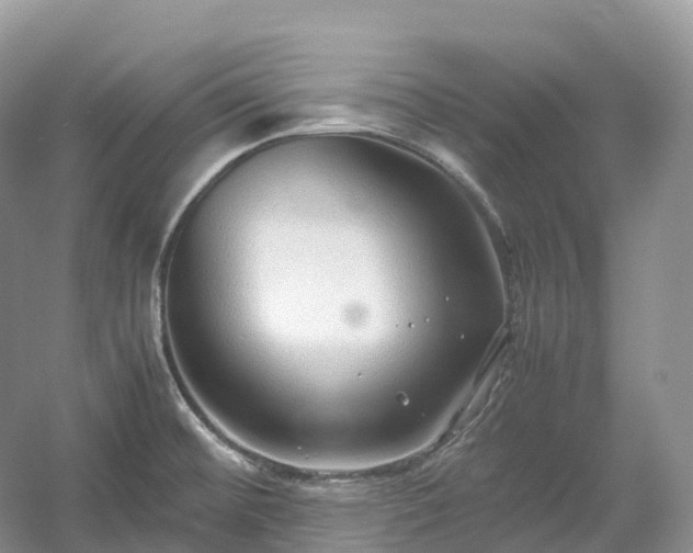 X0000054371476200508051542