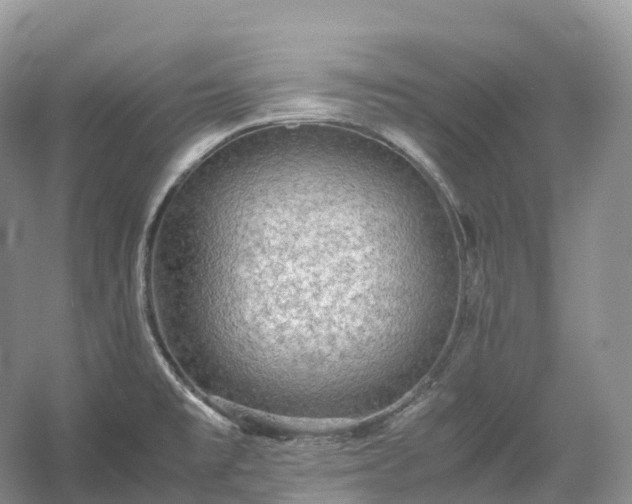 X0000054371477200508051542