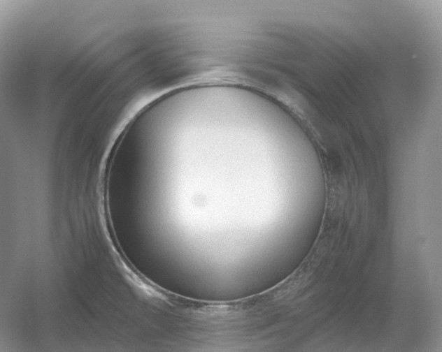 X0000054371478200508051542