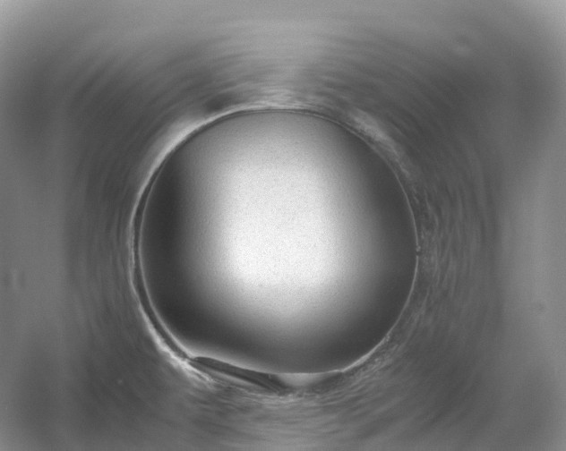 X0000054371479200508051542