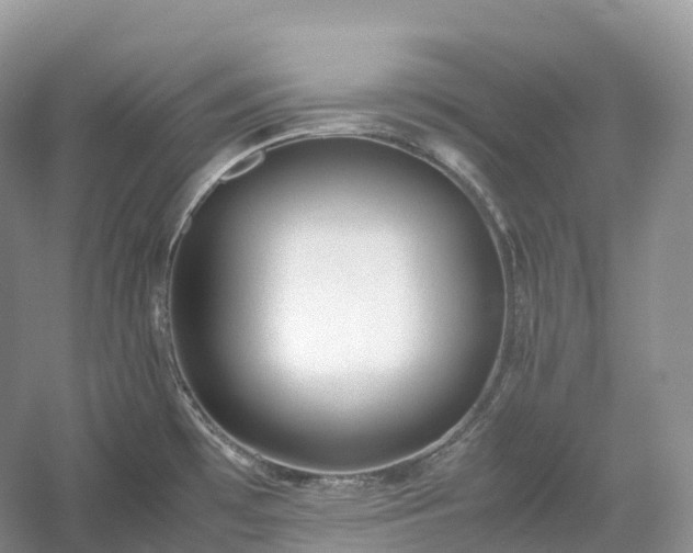 X0000054371481200508051542