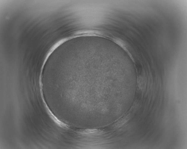 X0000054371482200508051542