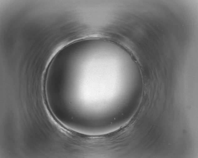 X0000054371483200508051542