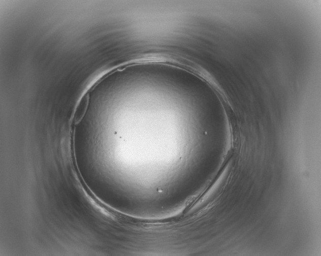 X0000054371484200508051542