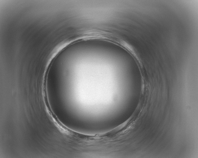 X0000054371485200508051542