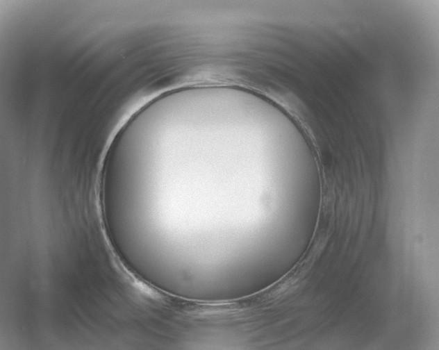 X0000054371486200508051542