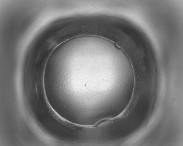 X0000054371487200508051542