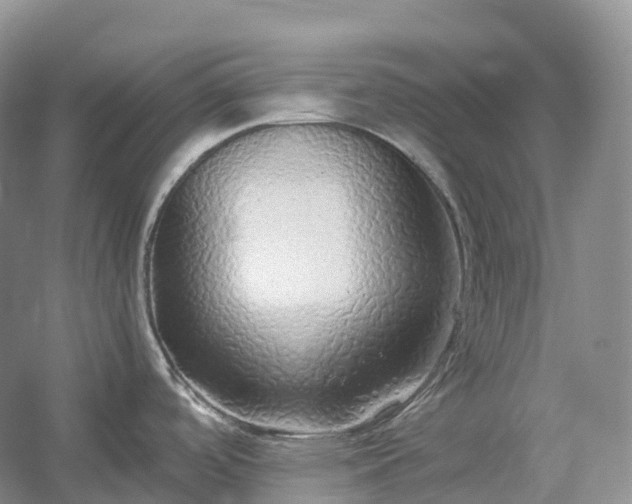 X0000054371488200508051542