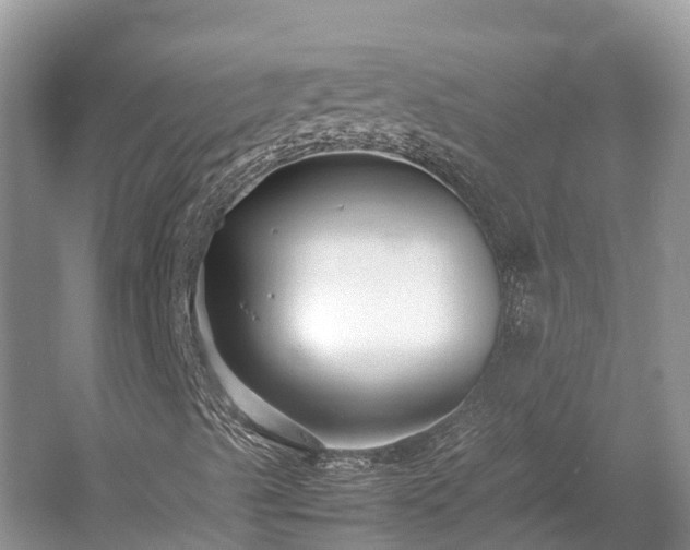 X0000054371489200508051541