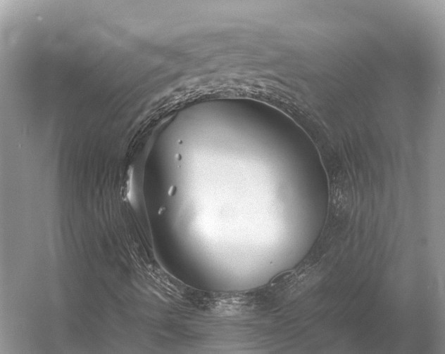 X0000054371490200508051541