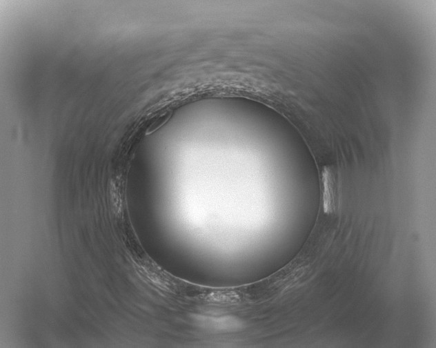 X0000054371491200508051541