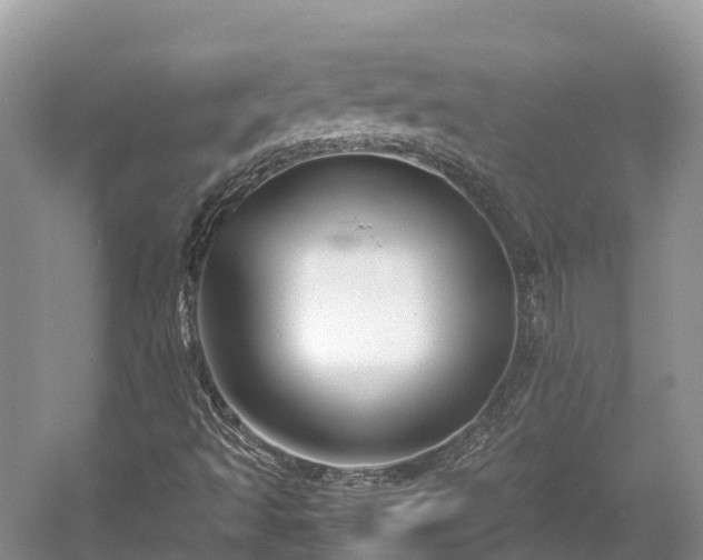 X0000054371493200508051541