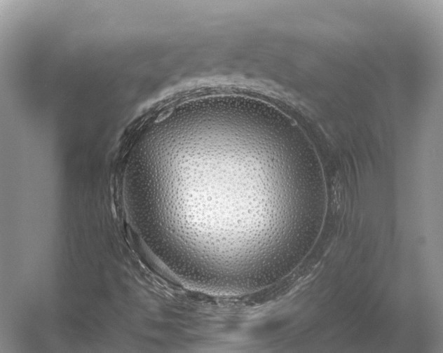 X0000054371494200508051541