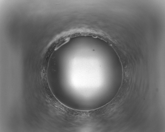 X0000054371495200508051541