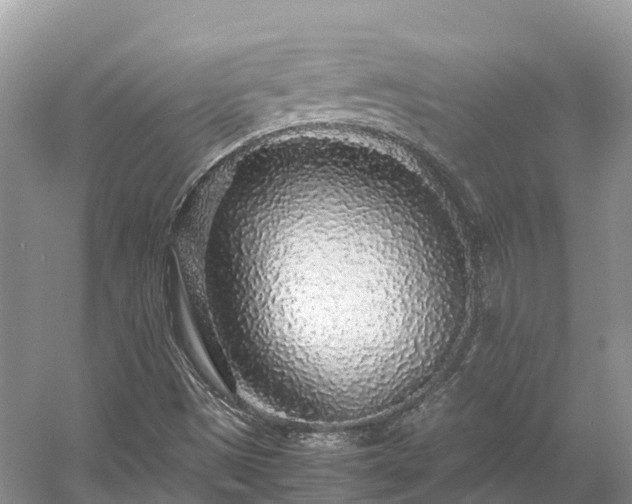 X0000054371497200508051541