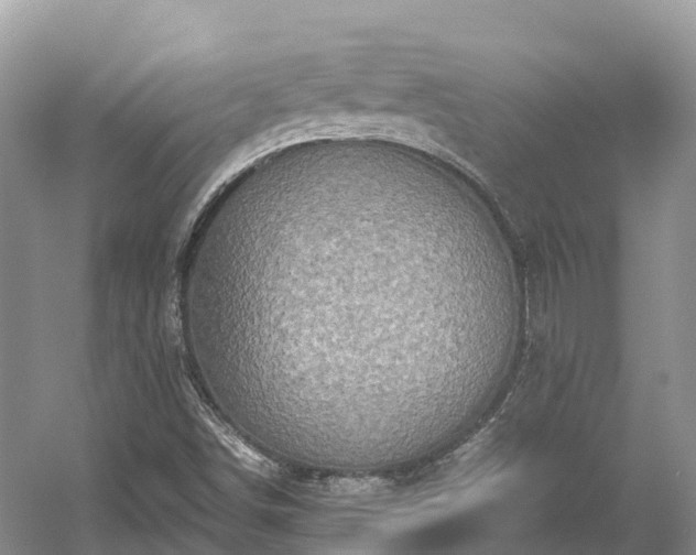 X0000054371498200508051541