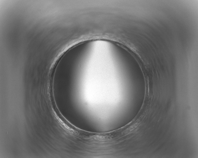 X0000054371500200508051541