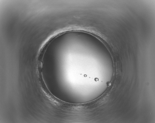 X0000054371502200508051541