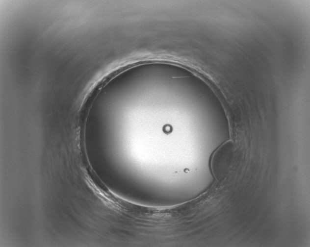 X0000054371503200508051541