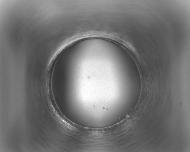 X0000054371504200508051541