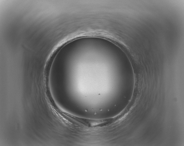 X0000054371506200508051541