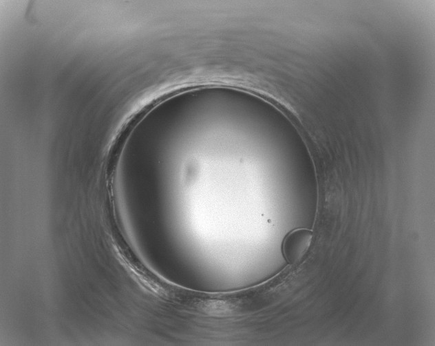 X0000054371507200508051541