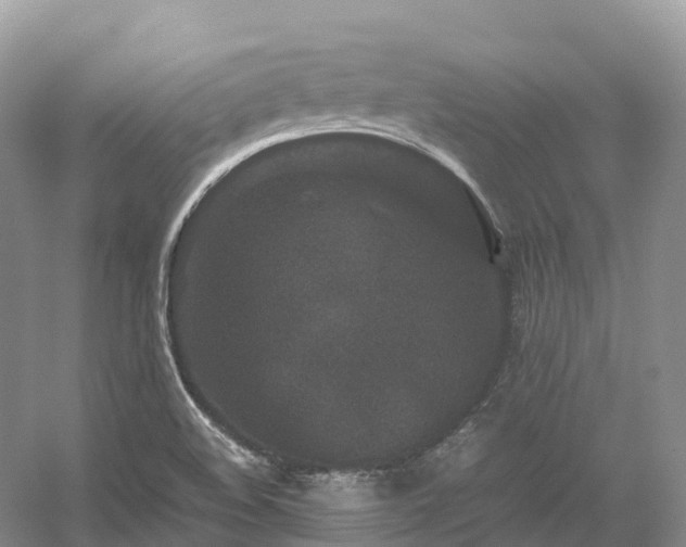 X0000054371508200508051541