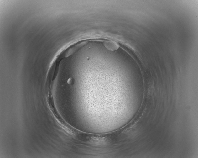 X0000054371509200508051541