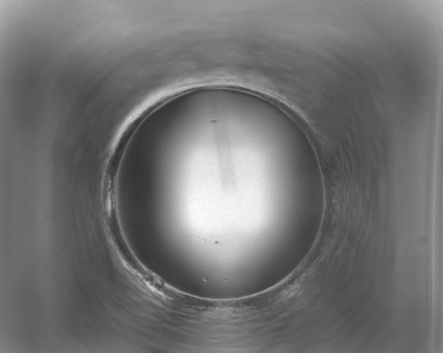 X0000054371510200508051541