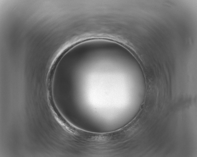 X0000054371511200508051541