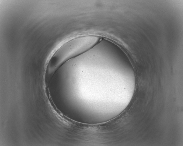 X0000054371512200508051541