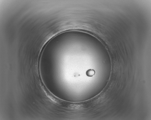 X0000054371513200508051541