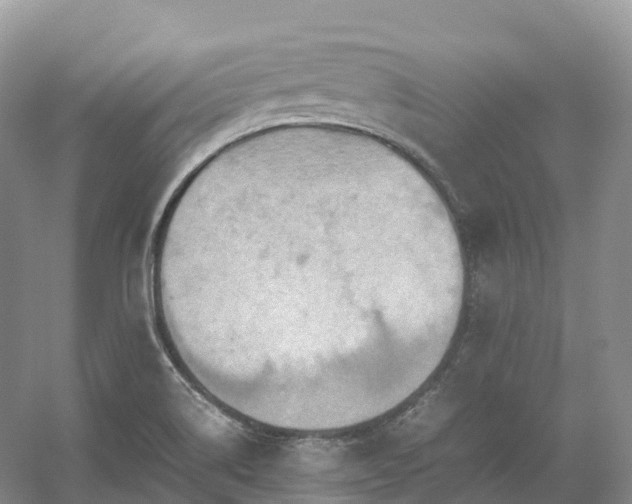 X0000054371514200508051542