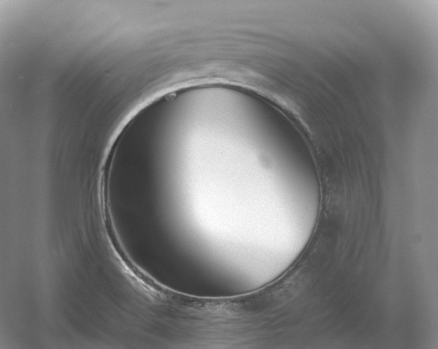 X0000054371516200508051542