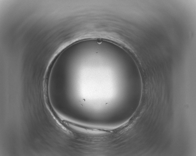 X0000054371517200508051542