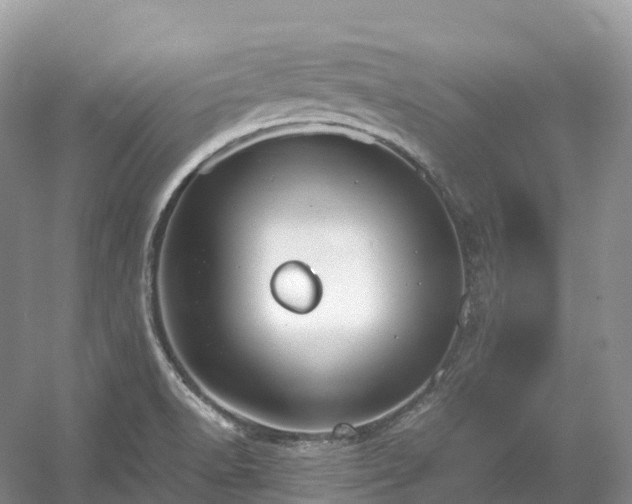 X0000054371518200508051542