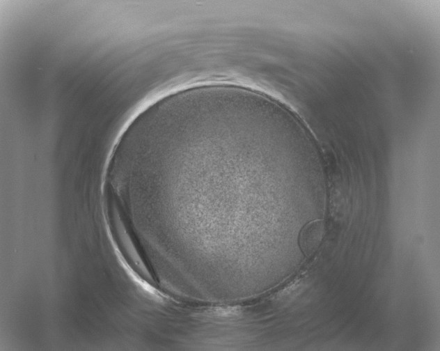 X0000054371519200508051542