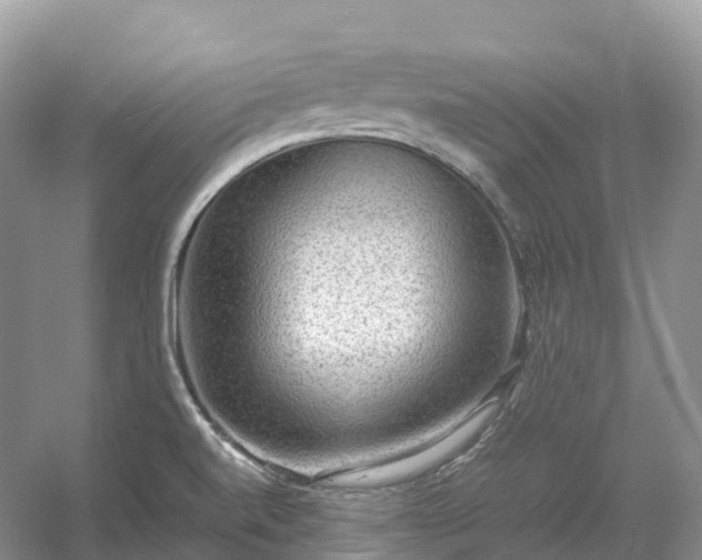 X0000054371520200508051542