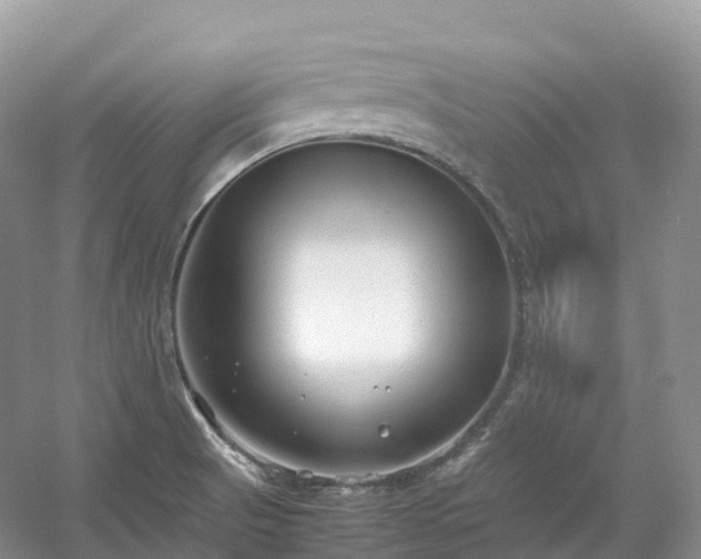 X0000054371521200508051542