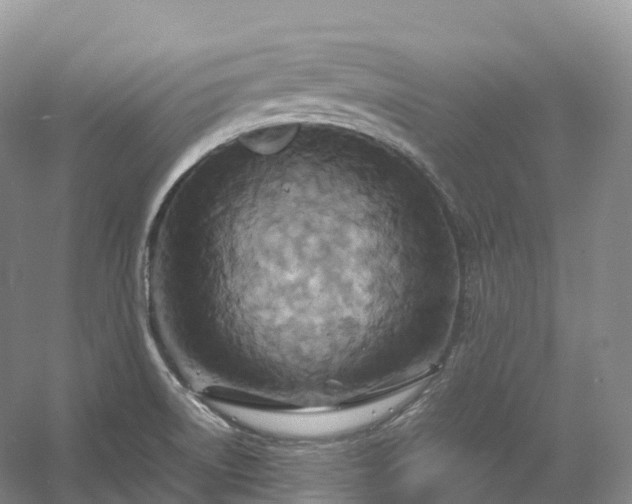 X0000054371522200508051542