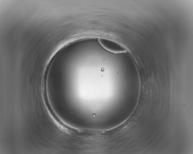 X0000054371523200508051542