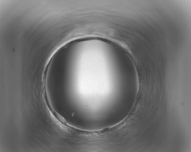 X0000054371524200508051542