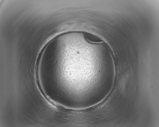 X0000054371525200508051542