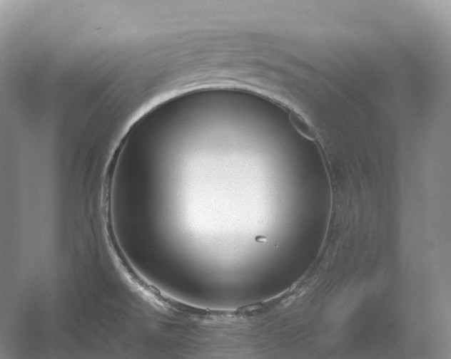 X0000054371526200508051542