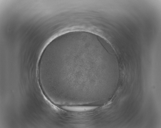 X0000054371527200508051542