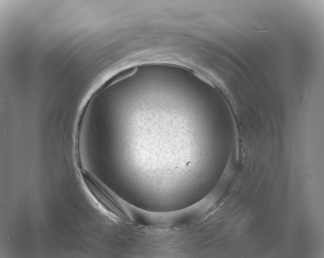 X0000054371528200508051542